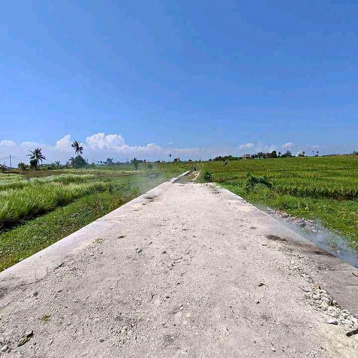 land canggu