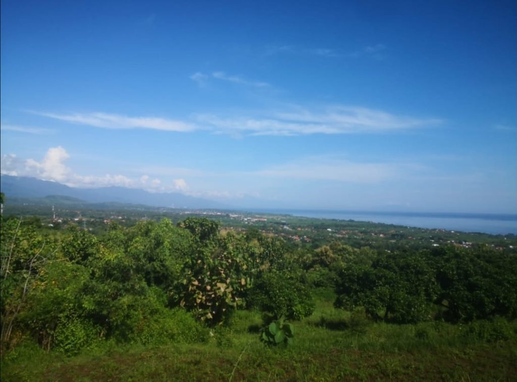 Private  Shared Central Lovina Land  Lovina North Bali 2074cf3f25ce800f8278e6113203df4eWhatsApp Image 2025 06 03 at 19.16.25 1 e1749736370247