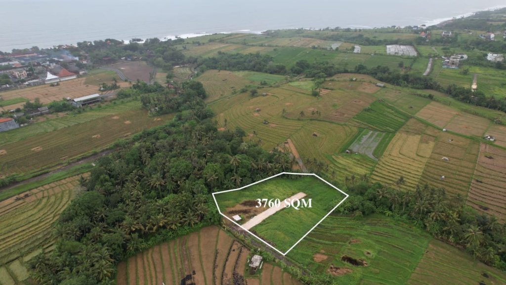 1 freehold land near canggu