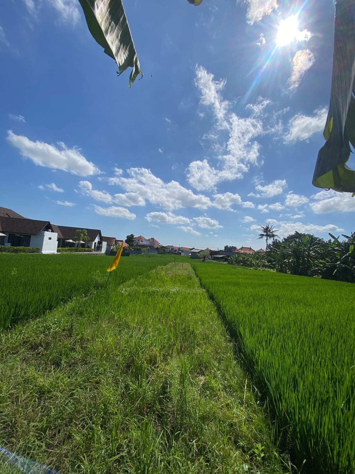 PHOTO LAND 1 2