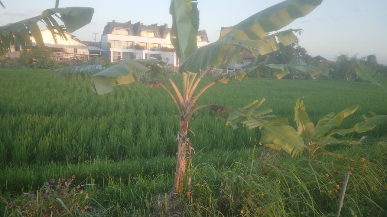 PHOTO LAND 1 4