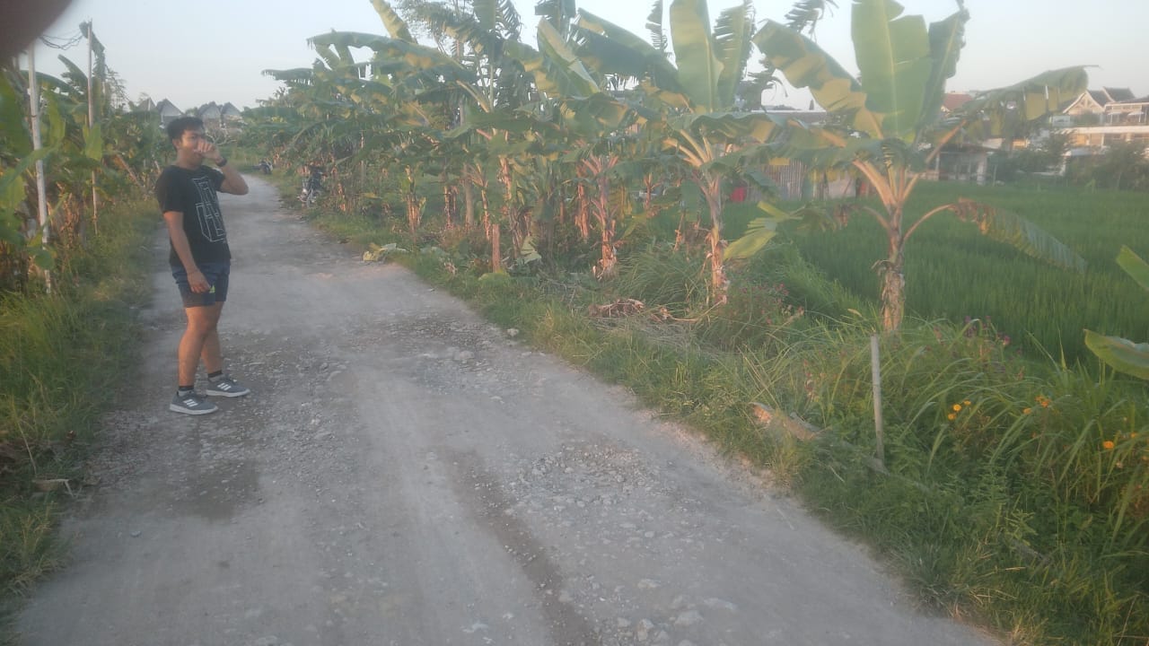 PHOTO LAND2