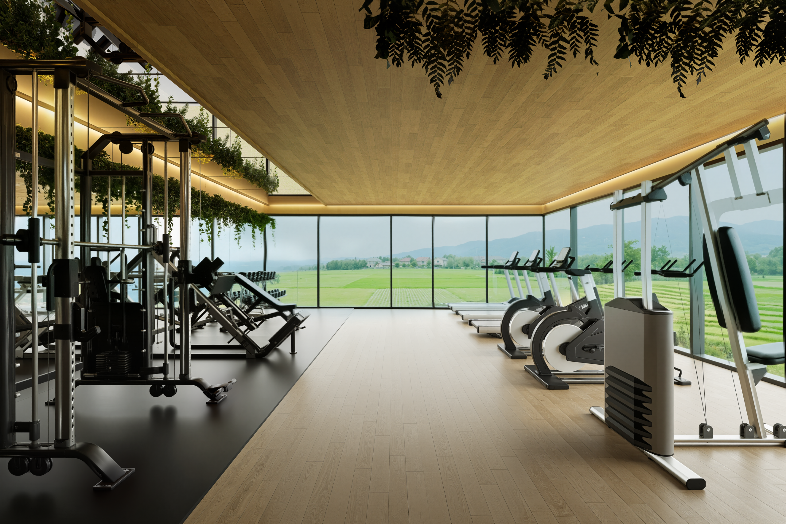 updatedGYMview